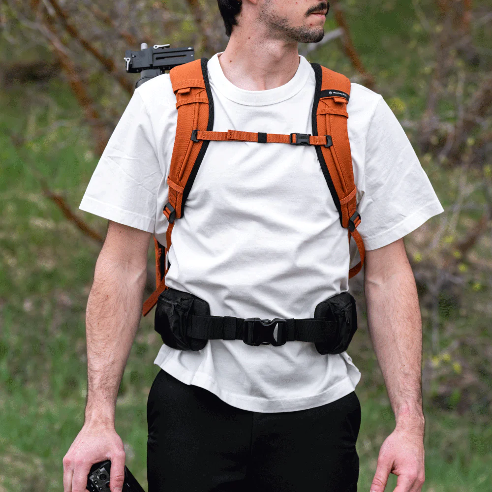 Waist Belt V2 - Image 6